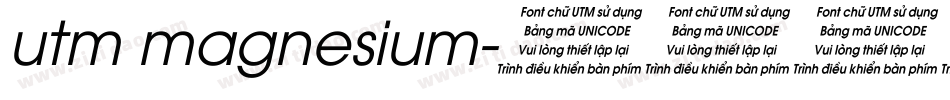 utm magnesium字体转换